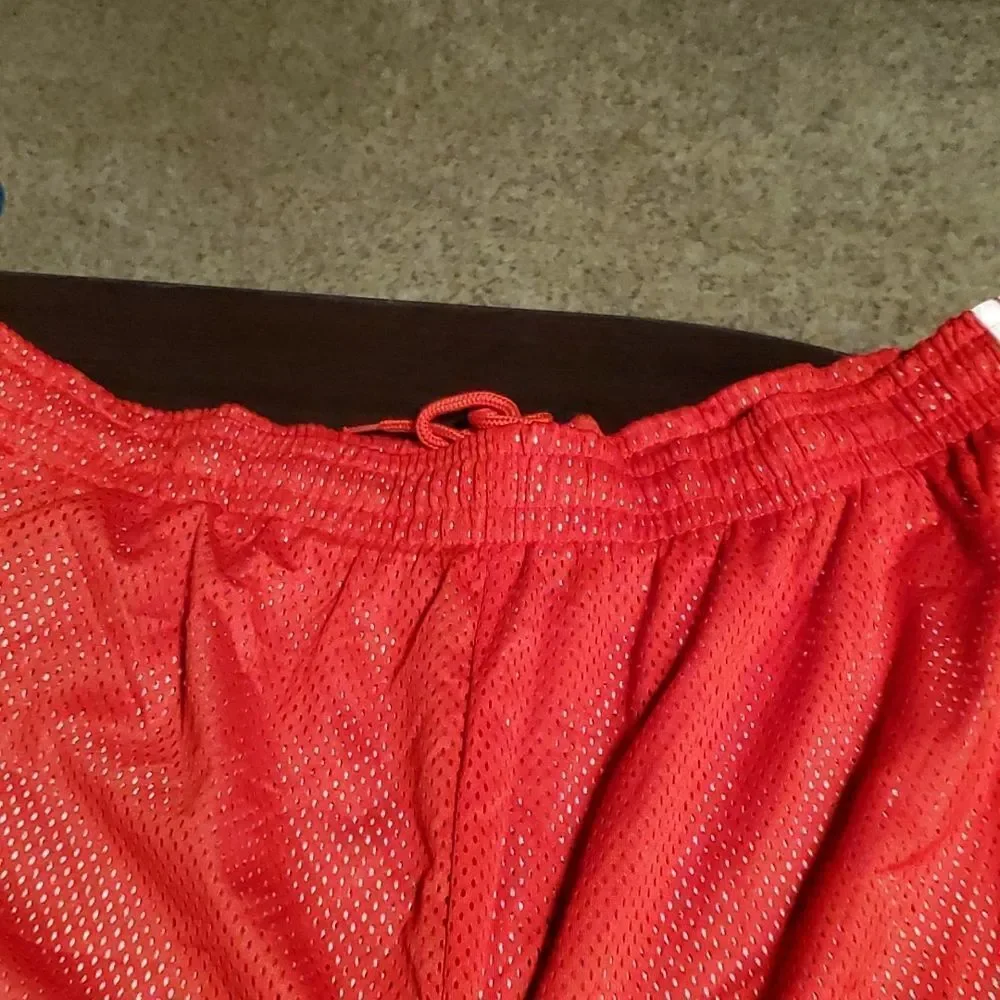 Men's Double Layered Mesh Shorts Big & Tall